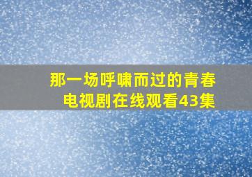 那一场呼啸而过的青春电视剧在线观看43集