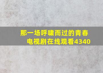 那一场呼啸而过的青春电视剧在线观看4340