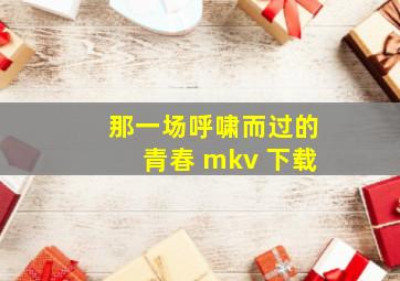 那一场呼啸而过的青春 mkv 下载