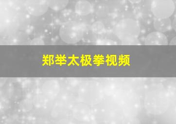 郑举太极拳视频