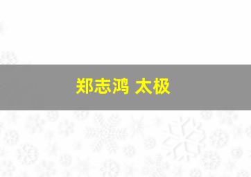 郑志鸿 太极