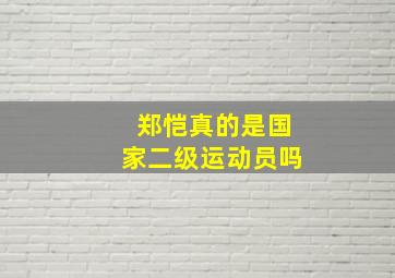 郑恺真的是国家二级运动员吗