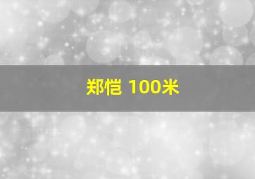 郑恺 100米