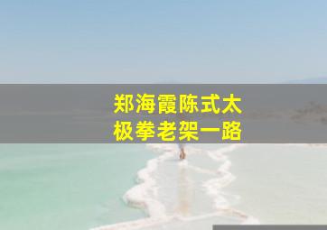 郑海霞陈式太极拳老架一路