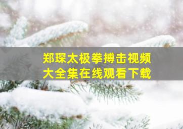 郑琛太极拳搏击视频大全集在线观看下载