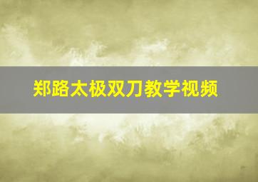 郑路太极双刀教学视频