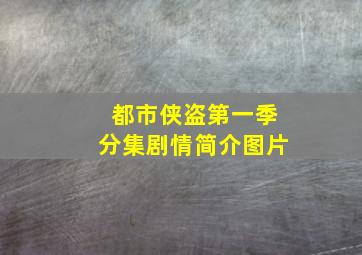 都市侠盗第一季分集剧情简介图片