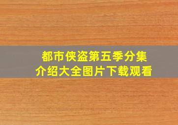 都市侠盗第五季分集介绍大全图片下载观看