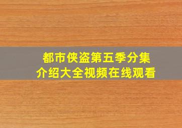 都市侠盗第五季分集介绍大全视频在线观看