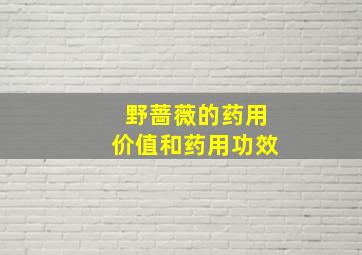 野蔷薇的药用价值和药用功效