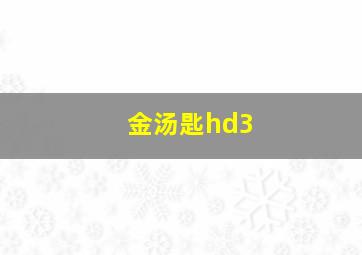 金汤匙hd3