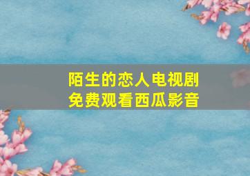 陌生的恋人电视剧免费观看西瓜影音