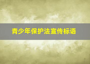 青少年保护法宣传标语