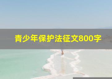 青少年保护法征文800字