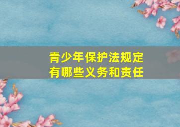 青少年保护法规定有哪些义务和责任