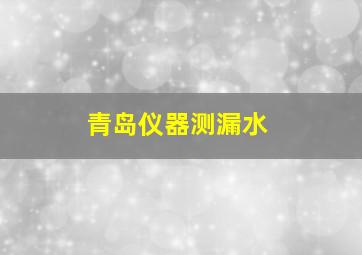 青岛仪器测漏水