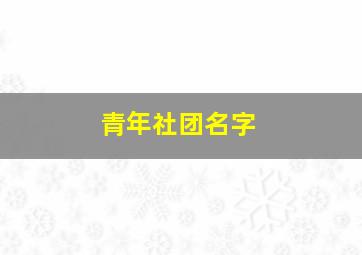 青年社团名字