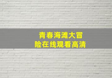 青春海滩大冒险在线观看高清