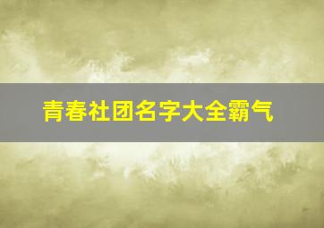 青春社团名字大全霸气