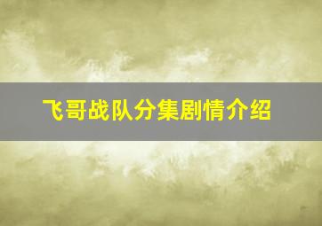 飞哥战队分集剧情介绍