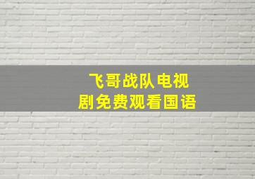 飞哥战队电视剧免费观看国语