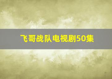 飞哥战队电视剧50集