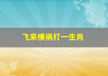 飞来横祸打一生肖