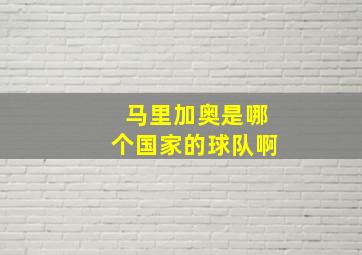 马里加奥是哪个国家的球队啊