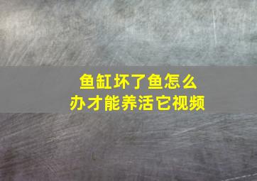 鱼缸坏了鱼怎么办才能养活它视频