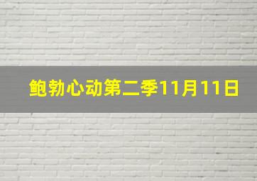 鲍勃心动第二季11月11日