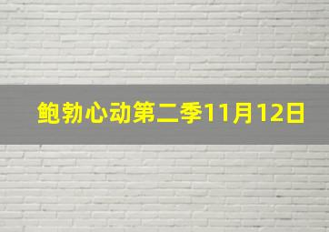 鲍勃心动第二季11月12日