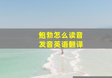 鲍勃怎么读音发音英语翻译