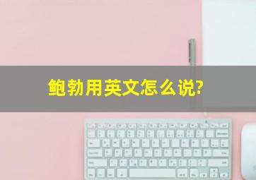 鲍勃用英文怎么说?