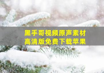 黑手哥视频原声素材高清版免费下载苹果