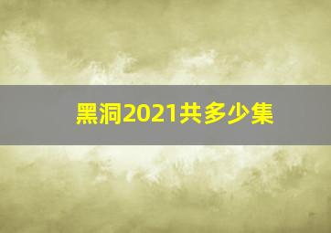 黑洞2021共多少集