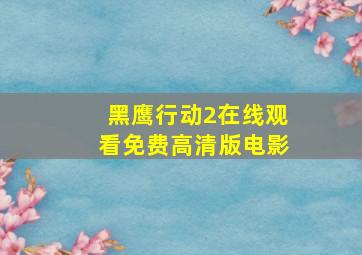 黑鹰行动2在线观看免费高清版电影