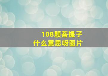 108颗菩提子什么意思呀图片