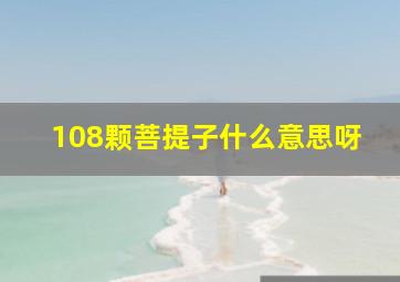 108颗菩提子什么意思呀