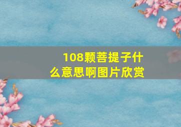 108颗菩提子什么意思啊图片欣赏