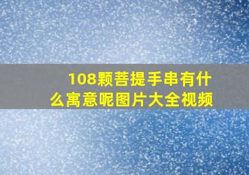 108颗菩提手串有什么寓意呢图片大全视频