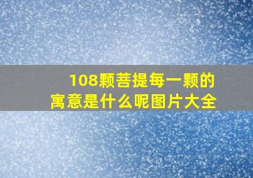 108颗菩提每一颗的寓意是什么呢图片大全