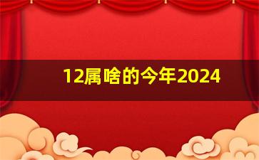 12属啥的今年2024