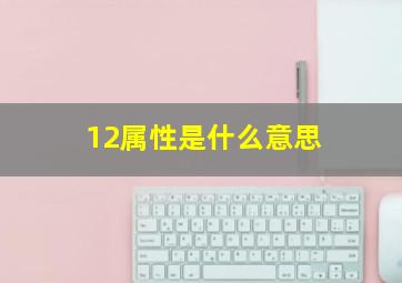 12属性是什么意思