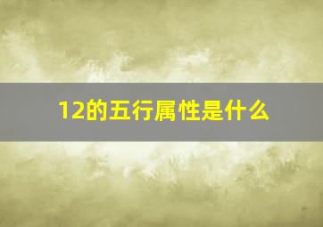 12的五行属性是什么