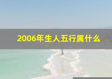 2006年生人五行属什么