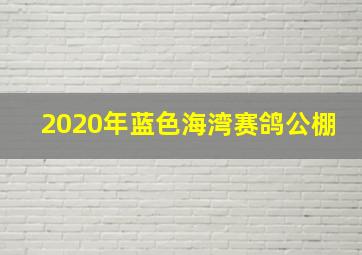 2020年蓝色海湾赛鸽公棚