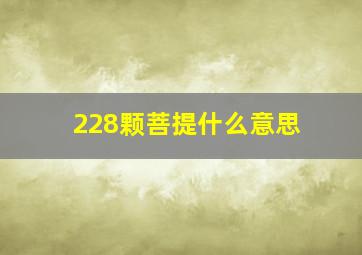 228颗菩提什么意思