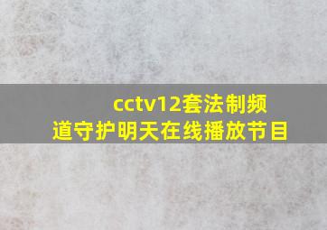 cctv12套法制频道守护明天在线播放节目