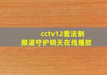 cctv12套法制频道守护明天在线播放